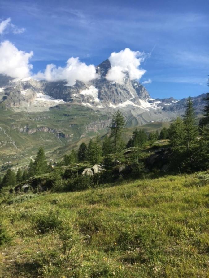 Casa Cervinia Circus Appartement Breuil-Cervinia Buitenkant foto